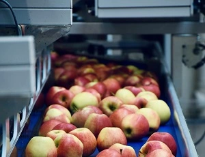 Rubber Heat Resistant Conveyor Belt: For Efficient Production Escort