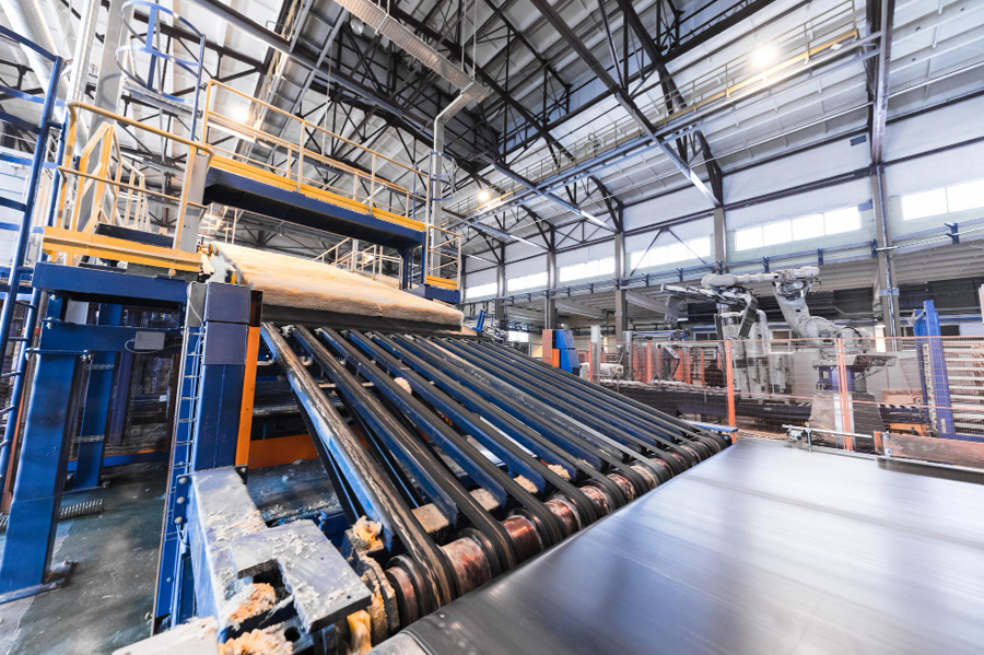 Conveyor Belt for Food Industry